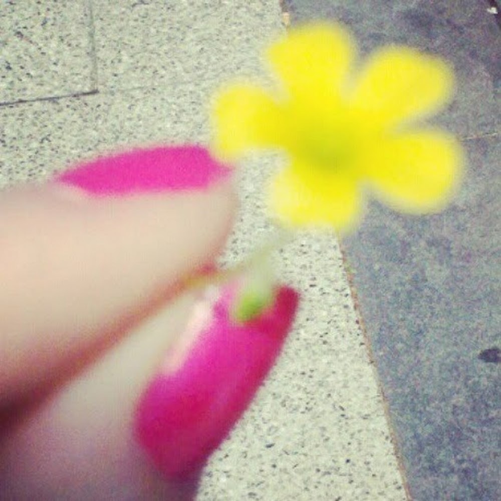 Meet your Posher, Elaine